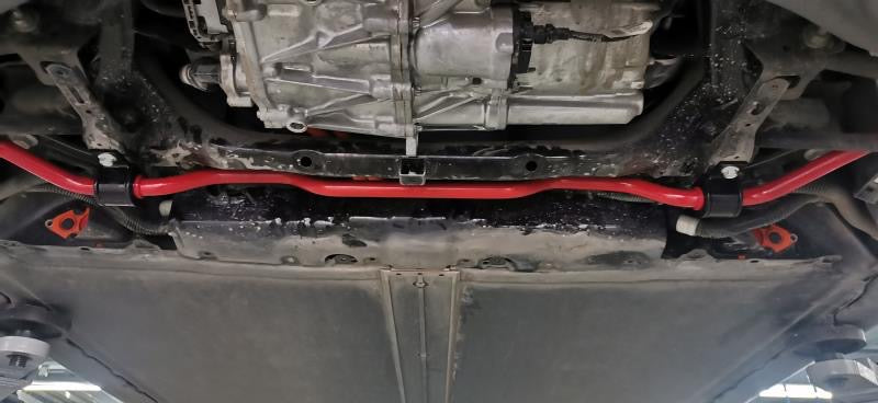 Precision Works Adjustable Sway Bars - Tesla Model 3